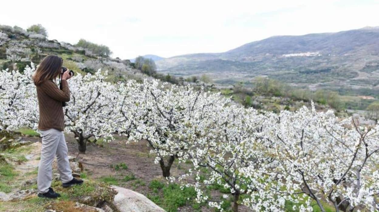 El Rincon De Markesa Plasencia Eksteriør billede